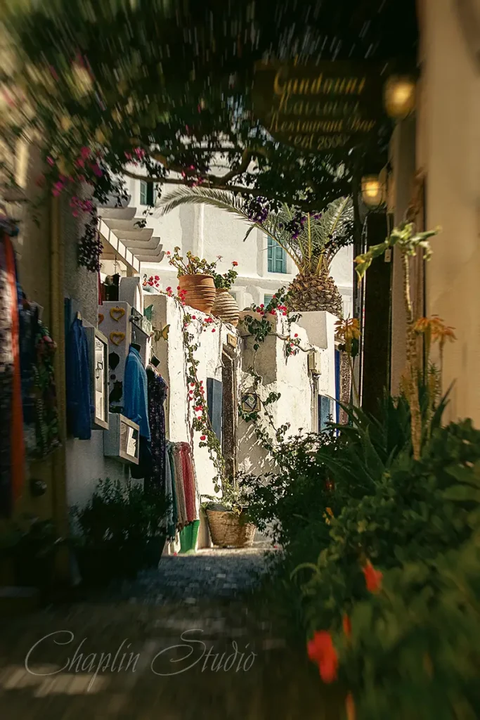 Santorini alley with white houses, blue shutters, and vibrant flowers under sunlight