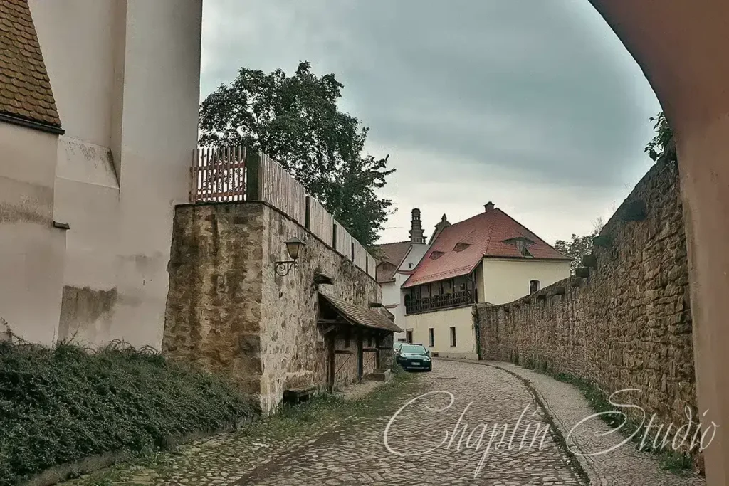 A winding cobblestone alleyway flanked by an old stone wall, lush greenery, and a traditional European building with a red roof under an overcast sky, captured by Chaplin Studio.